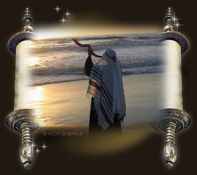 Sin Nombre